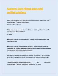 Anatomy and Kinesiology: Muscle Actions and Directional Terms
