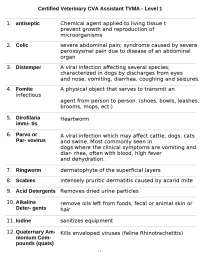 Certified Veterinary CVA Assistant TVMA - Level 1