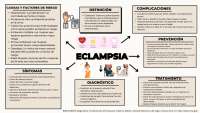 Eclampsia , Tema en ginecologia
