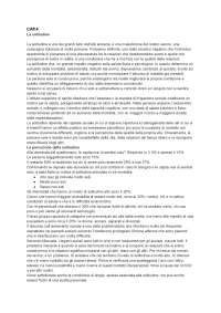 riassunto cap. 4,5,6 del libro la mia terza età di ugo carlone