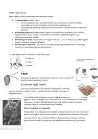 Anatomia e Fisiologia degli Insetti: Un'Introduzione - Prof. Lucchi