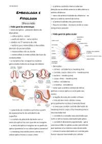 Embriologia do olho e fisiologia da visão