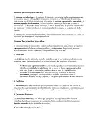 sistema reproductivo