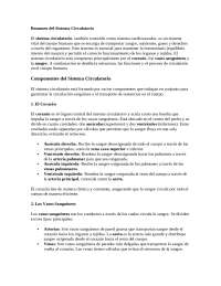 resumen sist circulatorio