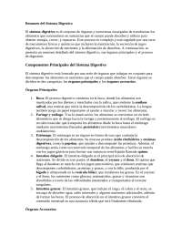 Resumen del sistema digestivo