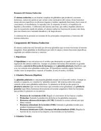 Resumen del sistema endocrino