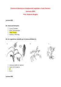 Paniere di botanica e biodiversità vegetale, SCBI eCampus, prof. Braglia Roberto, III anno