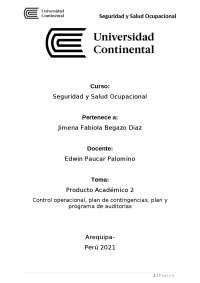 porducto academico 2