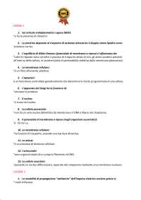 Paniere 2025 NEUROFISIOLOGIA Ecampus
