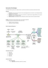 Nutraceutica fisio-biologica