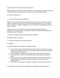 Cuestionario y Actividades de la Práctica: Mitosis