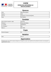 Dissertation Manon Lescaut