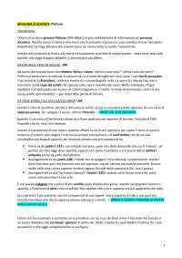 Storia della Filosofia Antica – Apologia, Repubblica, Fisica, Etica Nicomachea