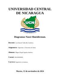 Diagramas Nassi-Shneiderman: Historia, Representación y Uso en Programación