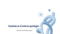 Anesthesia in the Surgical Setting: A Comprehensive Overview - Prof. Castro Lara