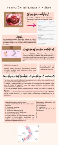 Cordón umbilical medicina