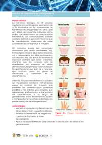 Rasgos hereditarios biología