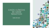 Casos Clínicos de Bactérias Gram-Negativas: Diagnóstico e Tratamento