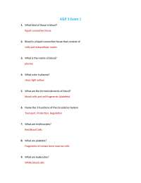 Anatomy and Physiology Exam 1: Blood, Heart, and Circulation
