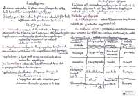résume de géophysique