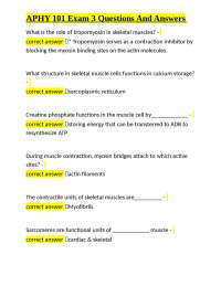 APHY 101 Exam 3: Muscle Physiology and Nervous System Questions and Answers