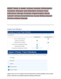 NR507 Week 4 edapt: Urinary System Pathologies: Common Diseases and Disorders Urinary Trac
