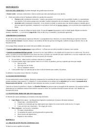 Temas destacados de Fundamentos del Derecho Romanistico