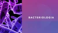 bacteriologia introduccion