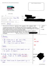devoir cned français n°7 (3ème)