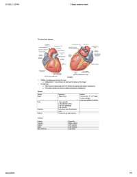 anatomy of heart shows labels and notes for the heart anatomy