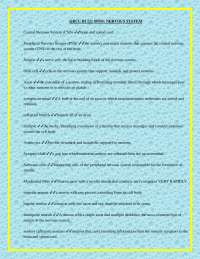 Human Nervous System: Anatomy and Function - A Comprehensive Guide
