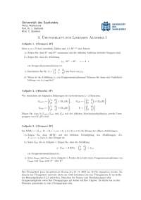 Übungsblatt zur Linearen Algebra Nr. 3