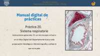 Práctica 20: Sistema Respiratorio - Manual Digital de Prácticas