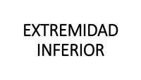 Anatomía de la Extremidad Inferior: Huesos del Fémur, Tibia y Peroné