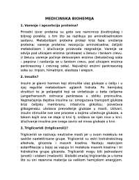 skripta za medicinu anatomija