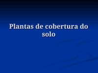 Plantas de Cobertura do Solo: Guia Completo para Agricultura Sustentável