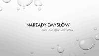 Narządy zmysłów człowieka - kier. Opiekun medyczny