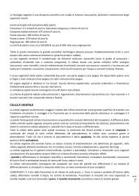 Appunti sul corso di Fisiologia vegetale