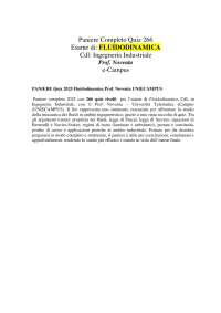 PANIERE Quiz 2025 Fluidodinamica Prof. Noventa UNIECAMPUS