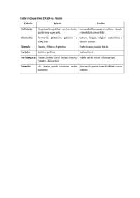 CUADRO COMPARATIVO DE ESTADO Y NACION