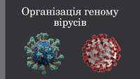Organizacia genomu virusov