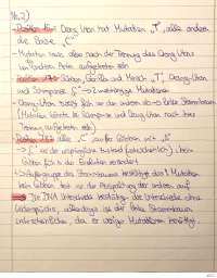 Biologie Gibbon, Gorilla Stammbaum, DNA Unterschiede