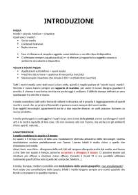 teorie e pratiche dei media