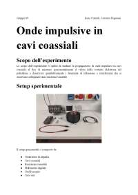 relazione cavi coassiali