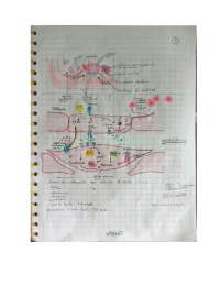 TAREAS DEL CUARTO PARCIAL DE HISTOLOGIA MEDICA