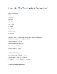 ELABORATO E3 TECNICA DELLE COSTRUZIONI