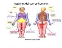REGIONES Y CAVIDADES ANATOMICAS