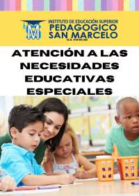 Educación Inclusiva: Necesidades Educativas Especiales - Prof. quispe sayago