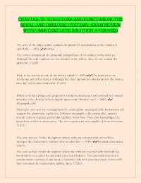 Kidney Anatomy and Physiology: Multiple Choice Questions and Answers