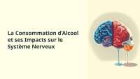 la consommation d’alcool